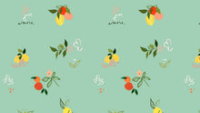 Load image into Gallery viewer, Fruit 02