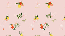 Load image into Gallery viewer, Fruit 01