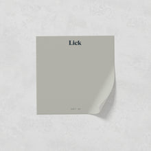 Load image into Gallery viewer, Grey 04