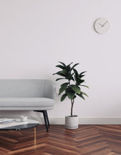 Load image into Gallery viewer, Grey 14