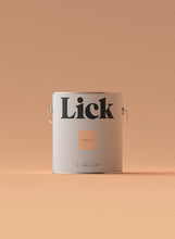 Load image into Gallery viewer, Orange 03